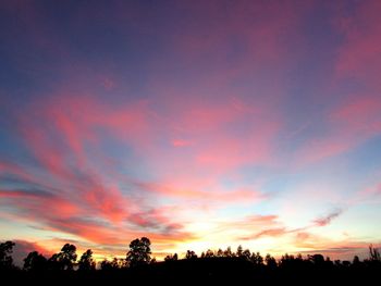 Silhouette trees against sky during sunset