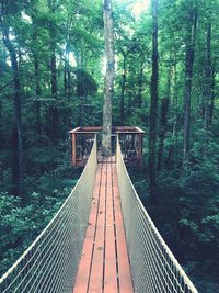 Footbridge amidst trees in forest