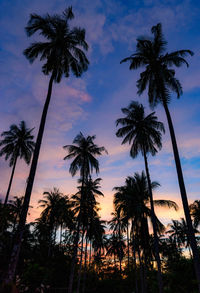 Silhouette palm trees against sky during sunset