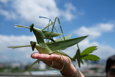 Close-up of hand holding leaf against sky