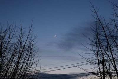 Low angle view of silhouette trees against sky at dusk