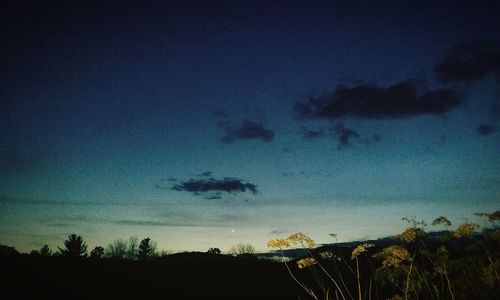 Low angle view of silhouette trees against sky at night