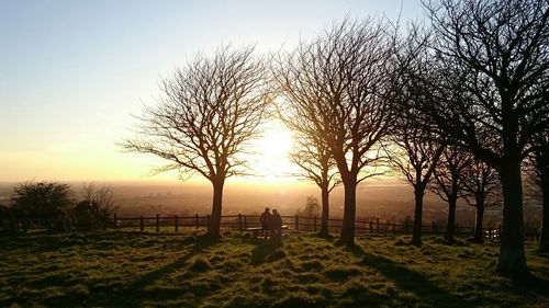 Bare trees on landscape at sunset