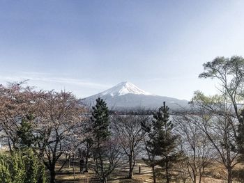 Fujisang in the afternoon