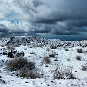 Scenic view of snow covered landscape