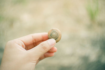 Close-up of hand holding snail