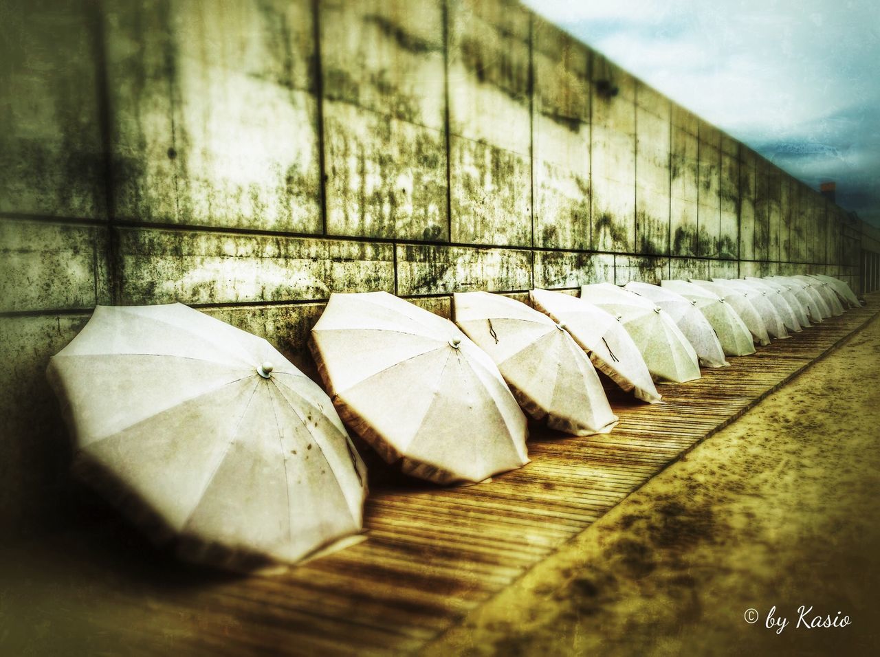 wood - material, wooden, empty, in a row, no people, absence, day, surface level, close-up, wall - building feature, flooring, wood, outdoors, abandoned, the way forward, large group of objects, sunlight, nature, plank