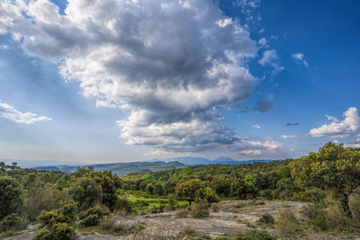 Scenic view of landscape against sky