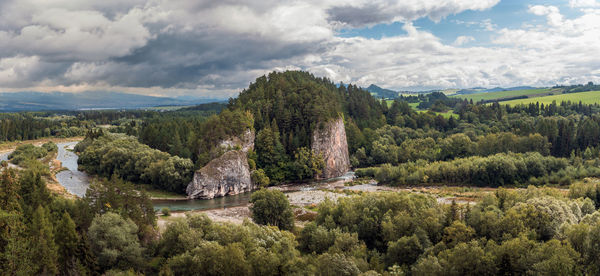 The gorge of the river. view of a beautiful rock, river and forests. poland