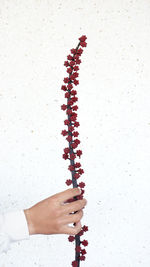 High angle view of hand holding ice cream over white background