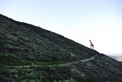 Full length of woman standing on mountain landscape