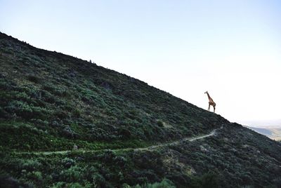 Full length of woman standing on mountain landscape