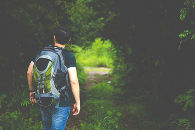 Rear view of man with backpack standing amidst trees in forest
