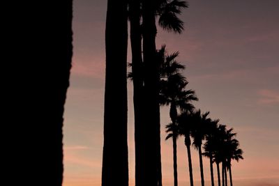 Silhouette palm trees against sky during sunset