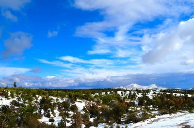 Scenic view of landscape against blue sky