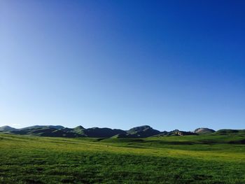 Scenic view of field against clear blue sky