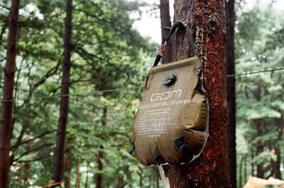 Close-up of birdhouse hanging on tree trunk