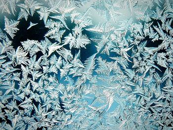 Full frame shot of snowflakes on window