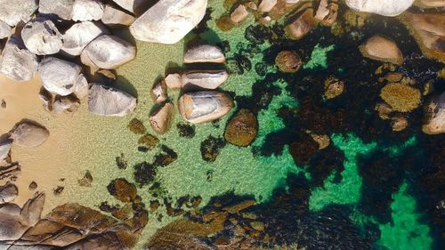 Close-up of rocks