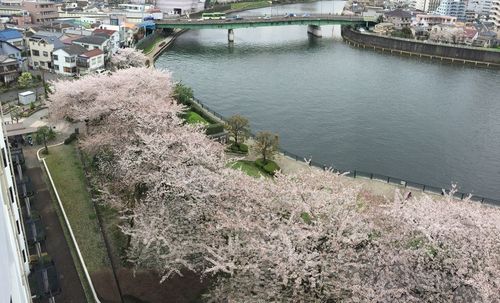 View of bridge over river