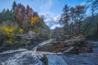 Stream flowing through rocks in forest