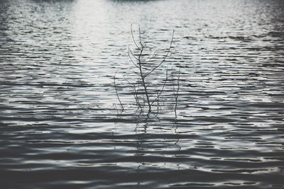 Full frame shot of water