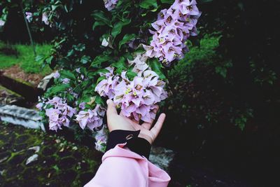 Midsection of man with pink flowers