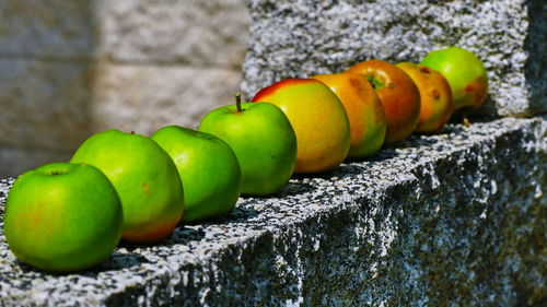 Close-up of green fruits on wall