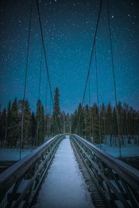 Snow covered trees against sky at night