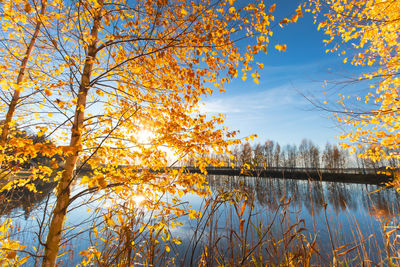 Scenic view of lake against sky during autumn