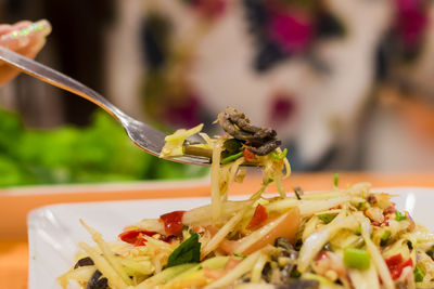 Close-up of food in plate