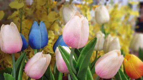 Close-up of purple tulip flowers on field