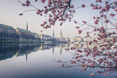 Germany, hamburg, inner alster lake in spring