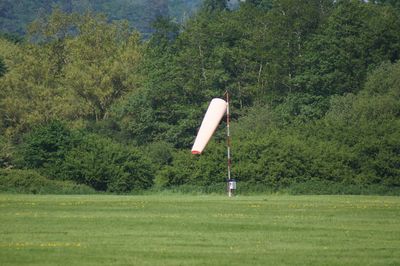 Umbrella on field against trees in forest