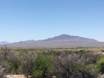 Scenic view of landscape against clear blue sky