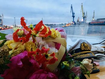 Close-up of flowering plants in boat against sky