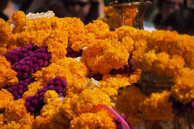 Close-up of yellow flowering plants at market