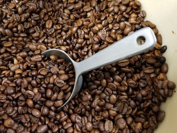 High angle view of coffee beans