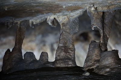 Close-up of stone wall