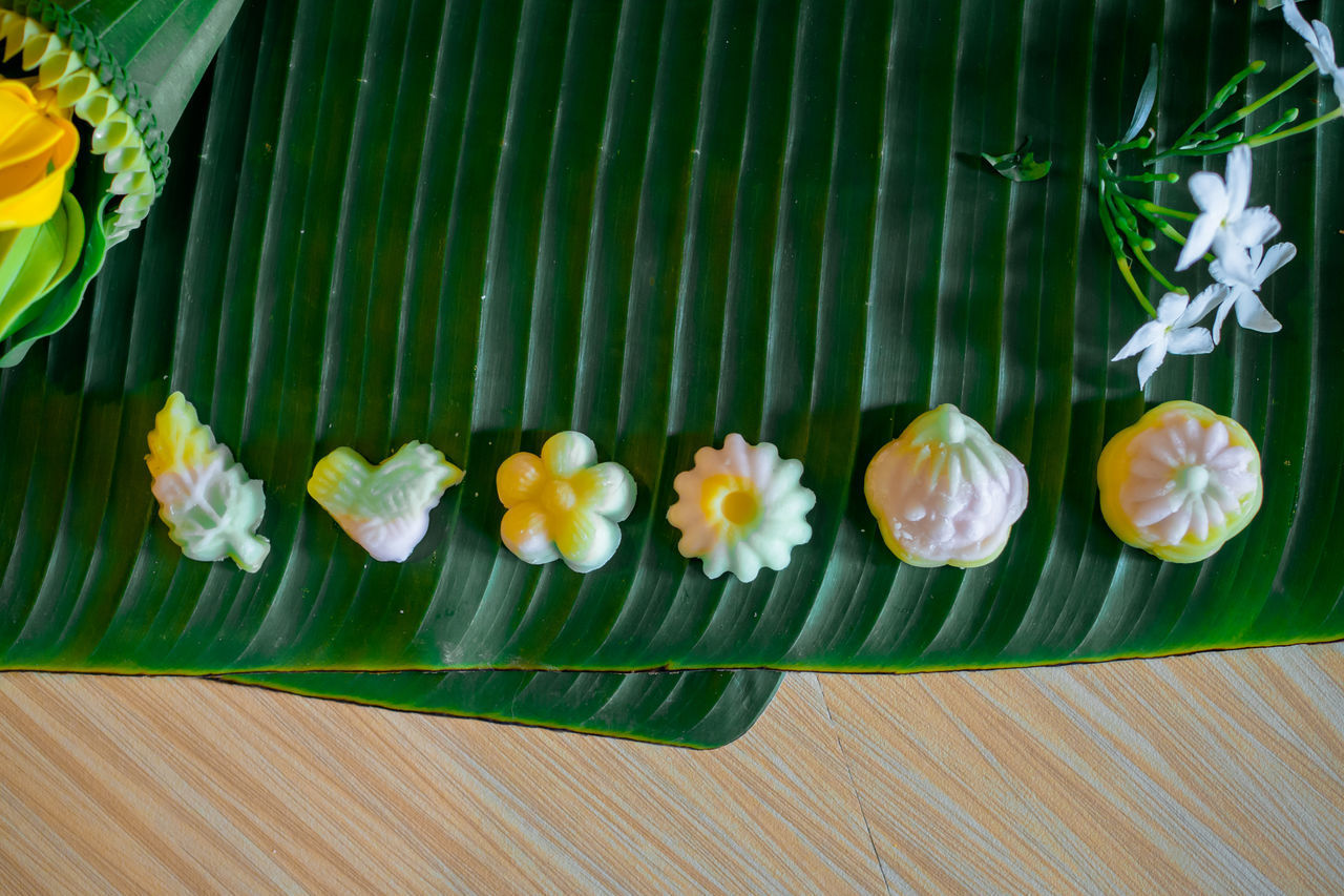 HIGH ANGLE VIEW OF WHITE FLOWERING PLANT LEAVES ON WOOD