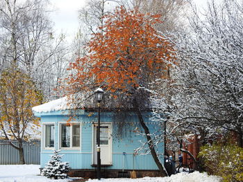 Trees by building during winter