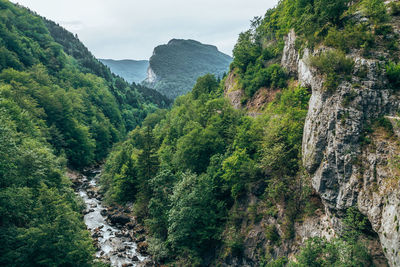 Scenic view of trees and mountains against sky