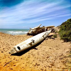 Scenic view of beach against sky