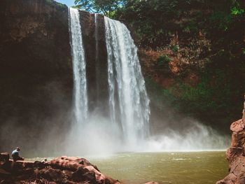 Scenic view of waterfall in forest