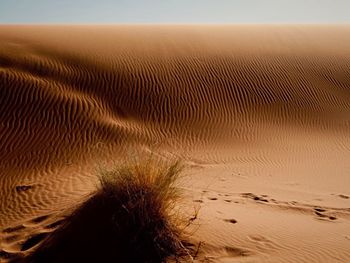 Footprints on sand