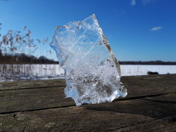 Close-up of ice crystals on land against sky