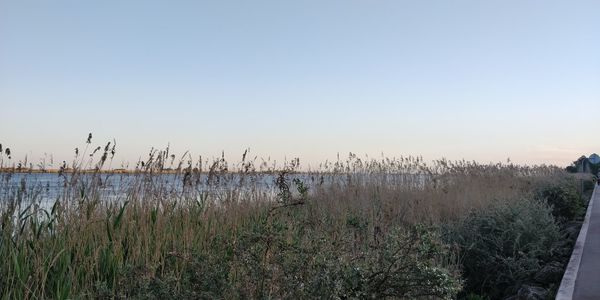 Scenic view of lake against clear sky