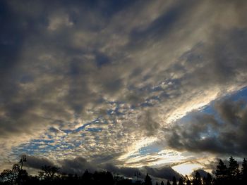 Low angle view of trees against sky