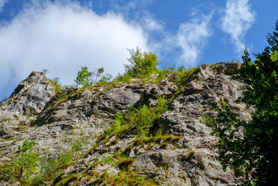 Ramet gorges from transylvania, trascau mountains, alba county, romania