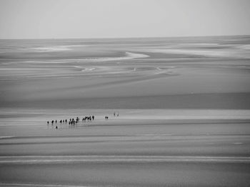 Silhouette people on beach against sky